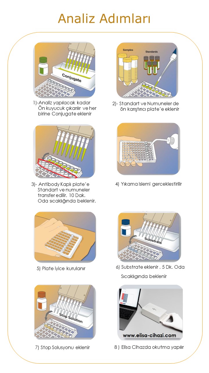 Eurofins Elisa kit -srmanalitik.com